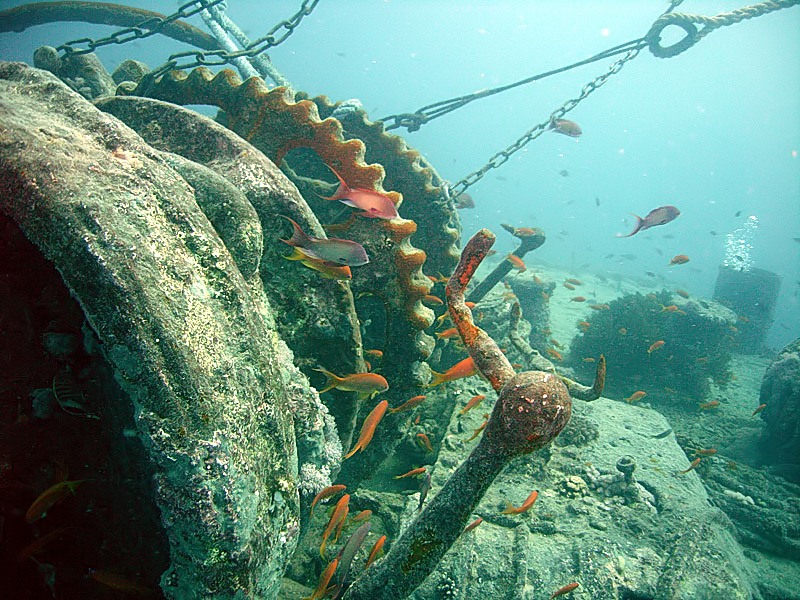 SS Thistlegorm