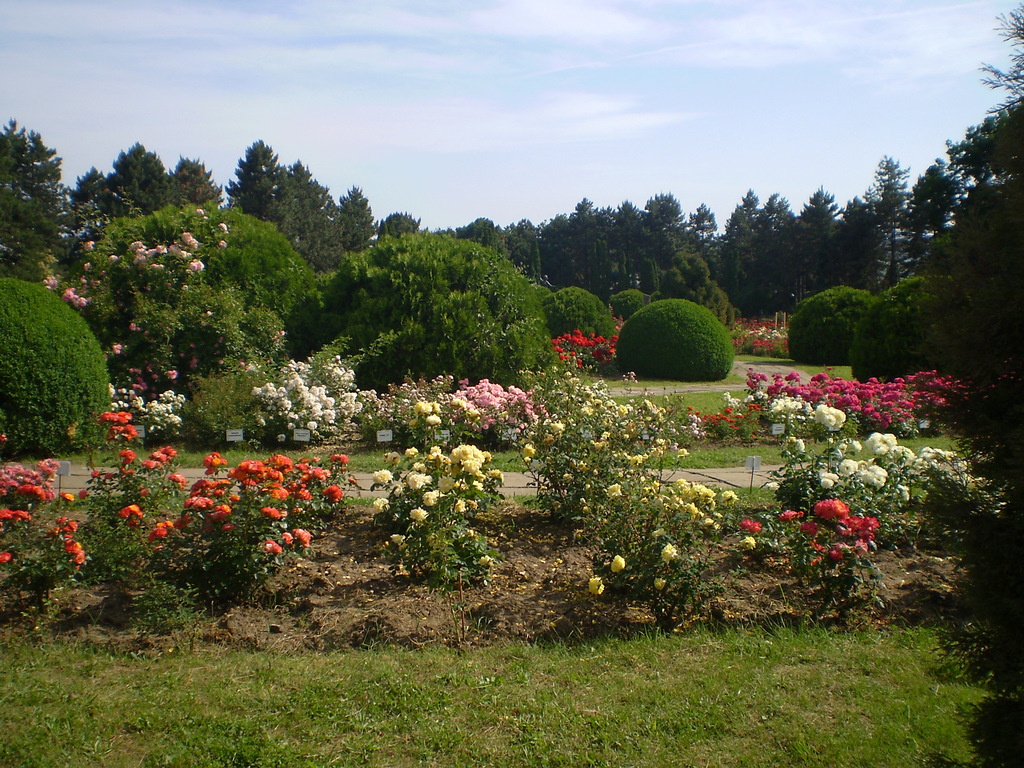 Botanical Garden