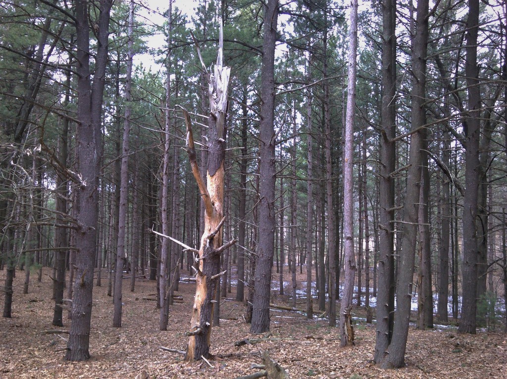 Provin Trails Park