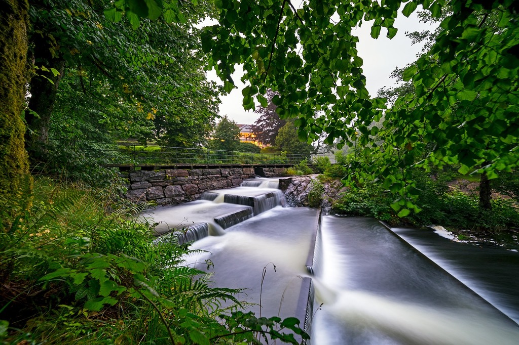 Fish Ladder
