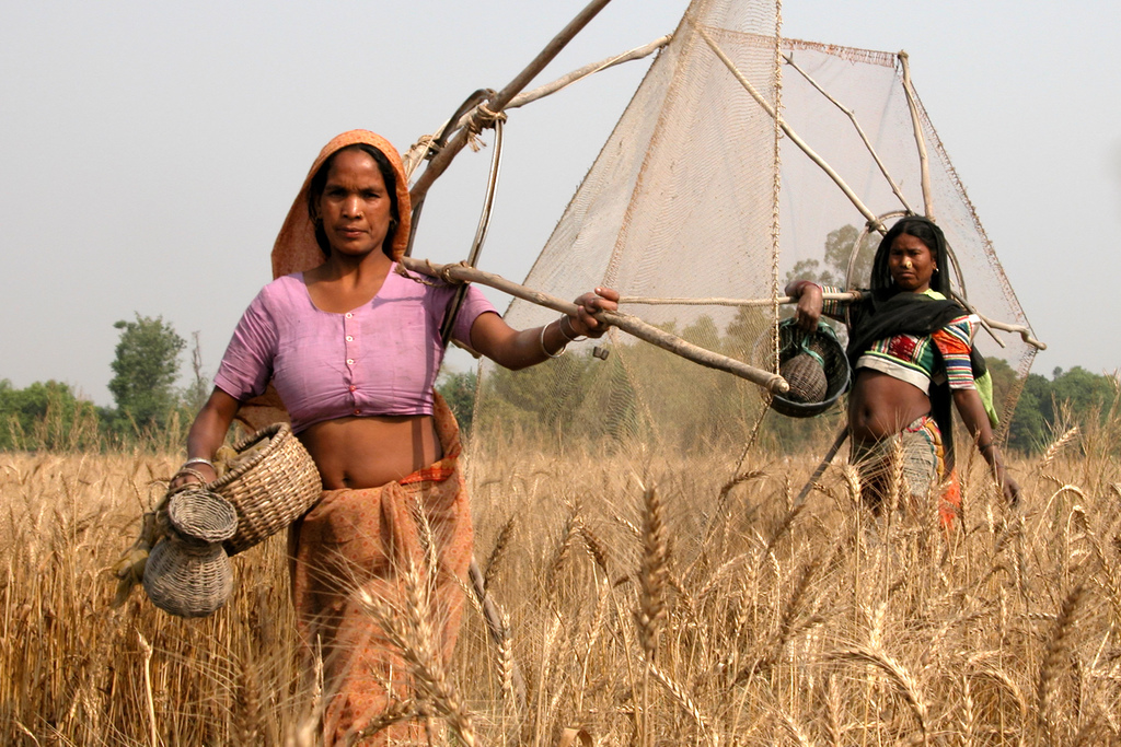 Népal rana tharu1818a Crop