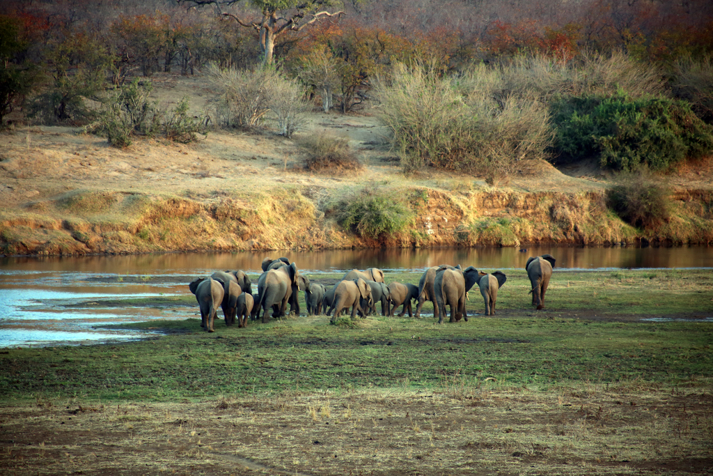 Kruger National Park, South Africa