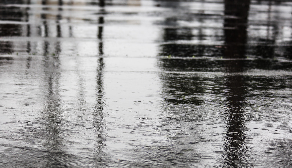 rain is life