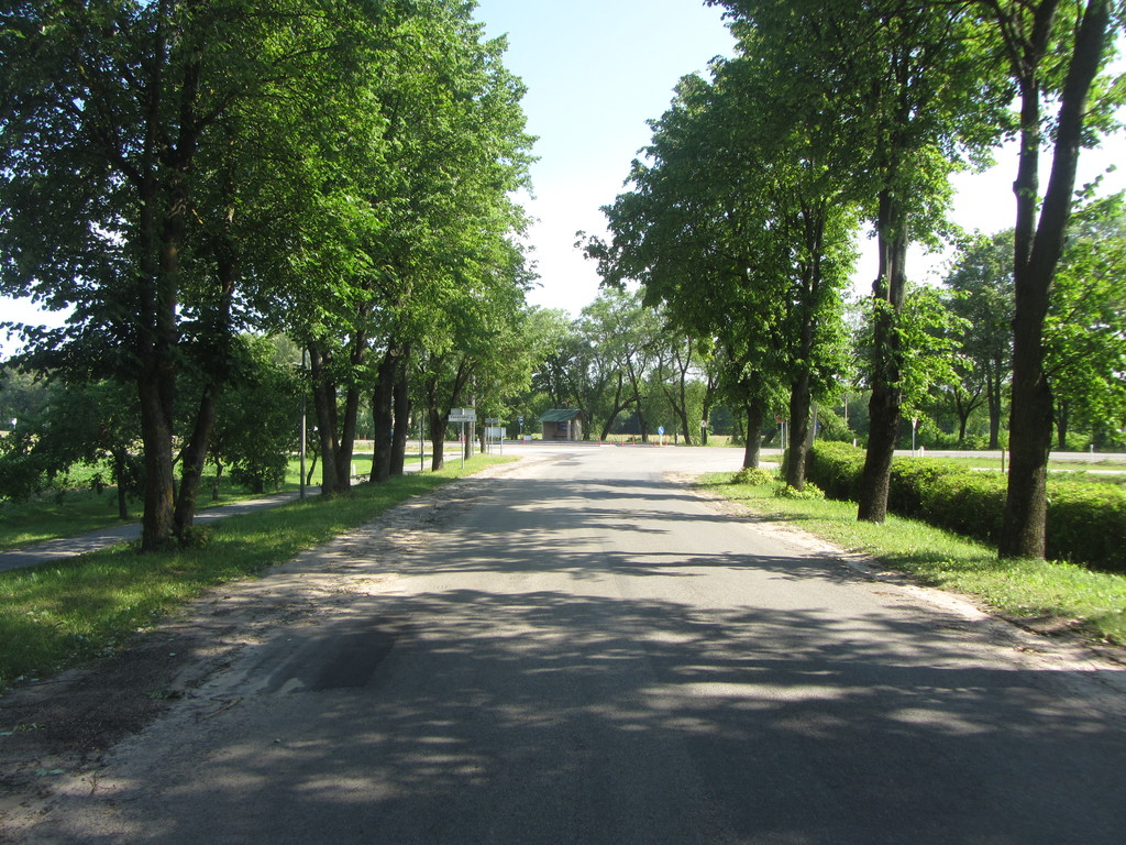 Birštonas, Lithuania - panoramio (4)