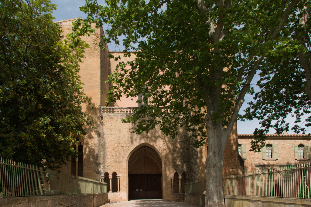 Abbaye de Sainte-Marie de Valmagne-Façade occidentale-20140511