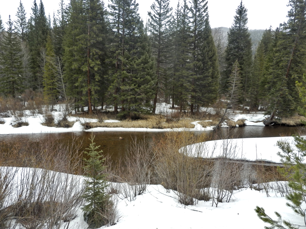 Arapaho and Roosevelt National Forests