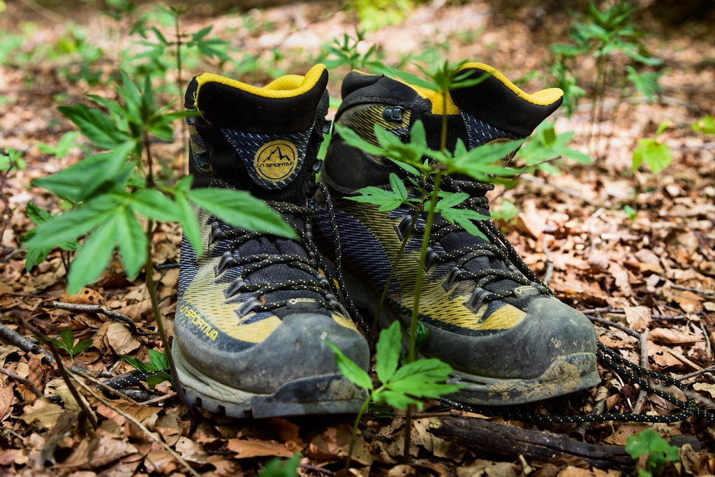 My Hiking Shoes