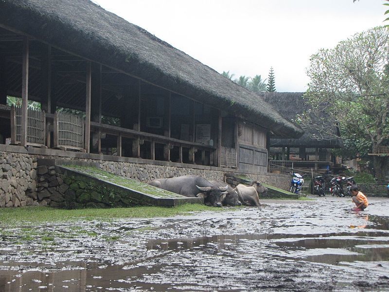 Tenganan