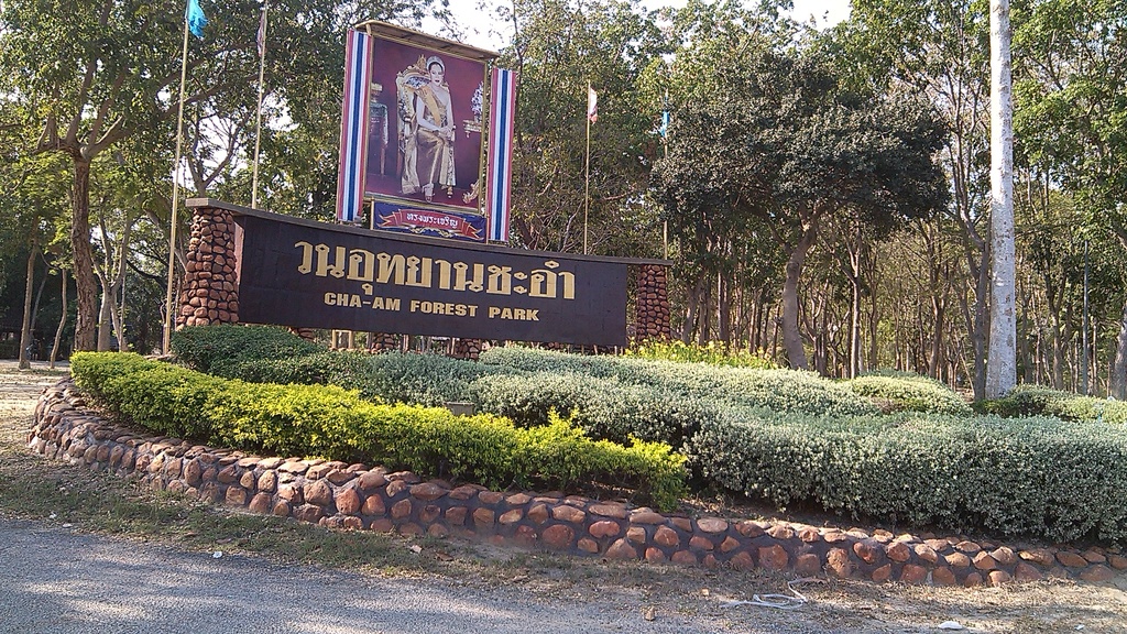 CHA-AM FOREST PARK