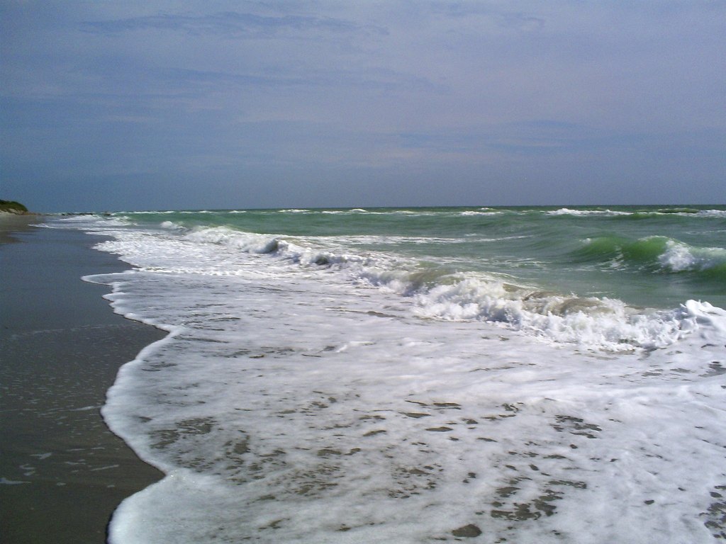 beautiful beaches in florida | venice beach