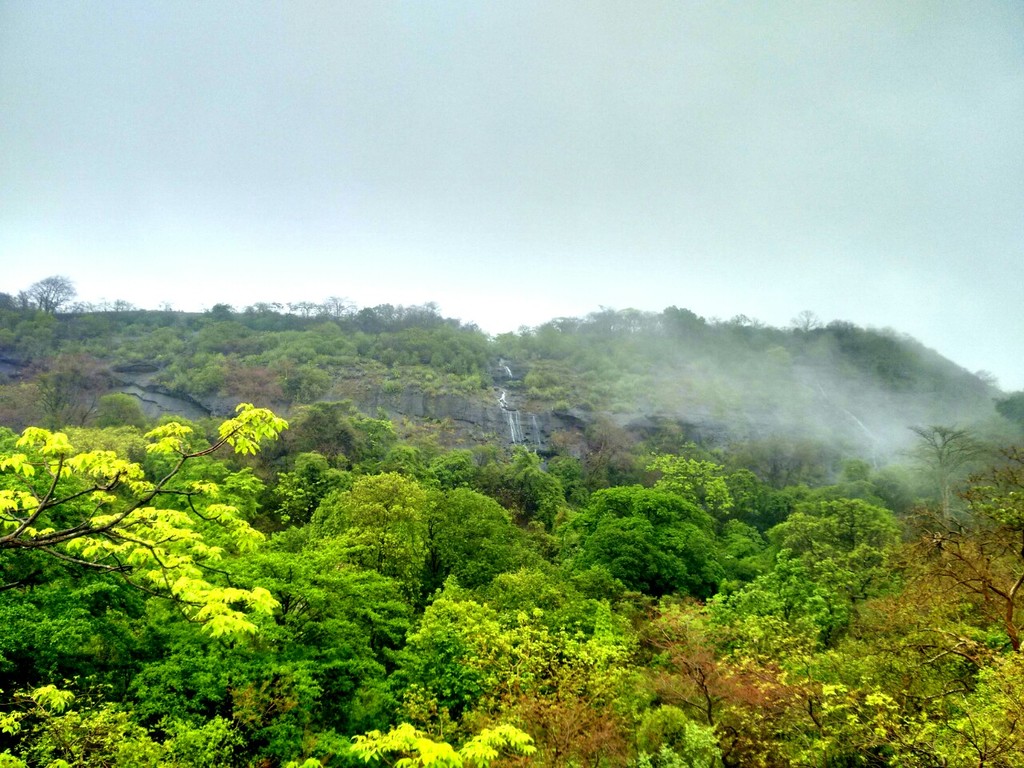 Sanjay Gandhi National Park Borivali