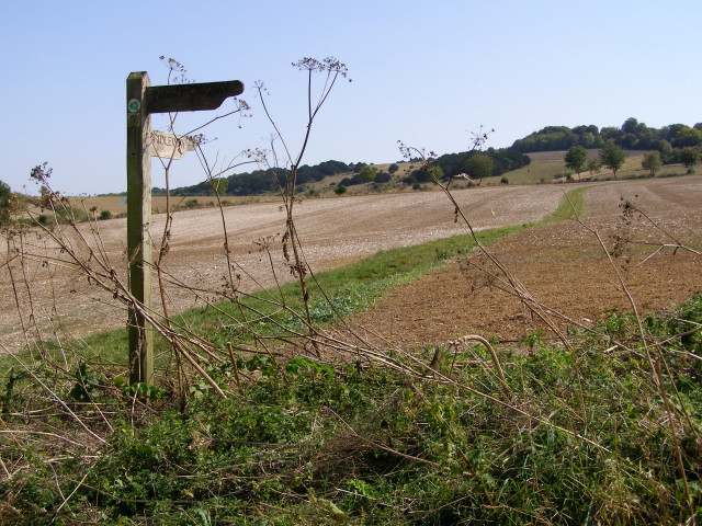 Signpost on the Clarendon Way - geograph.org.uk - 236909