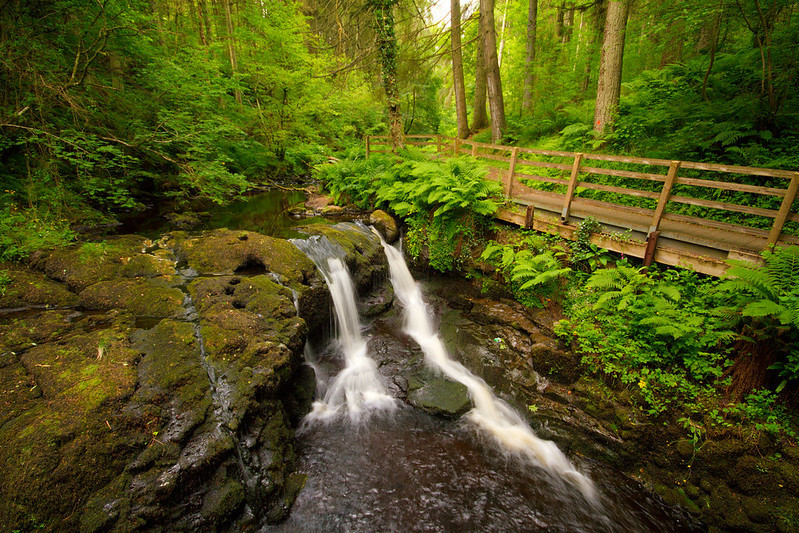 Waterfalls Trail, Glenariff Forest Park