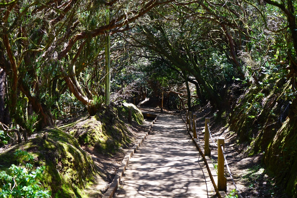 Nature trail