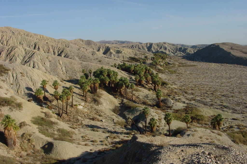 CoachellaValleyPreserve