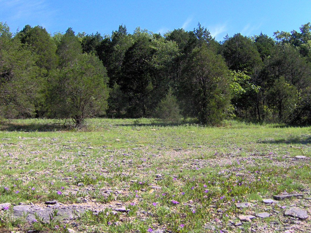 Cedar-glade-col-tn1