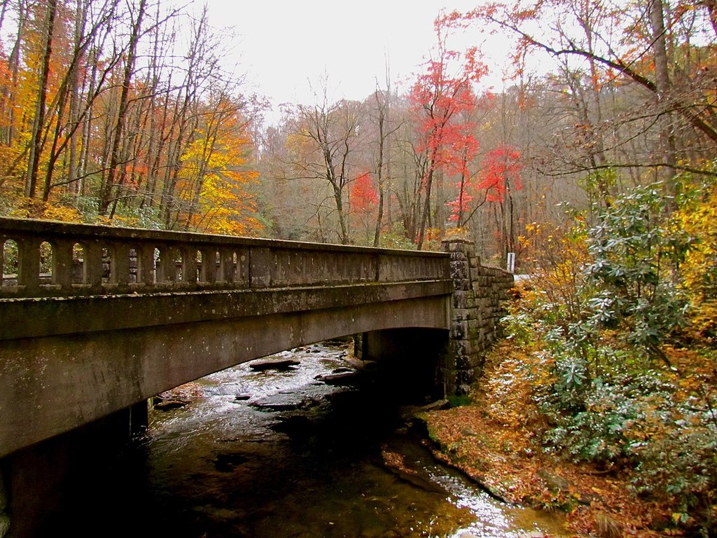 Pisgah National Forest (8143243097)