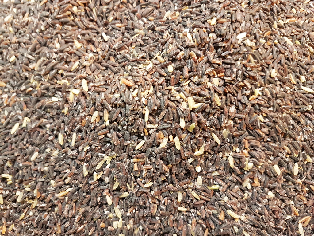 Balatinaw (or Balatinao) black rice from the Philippines 02