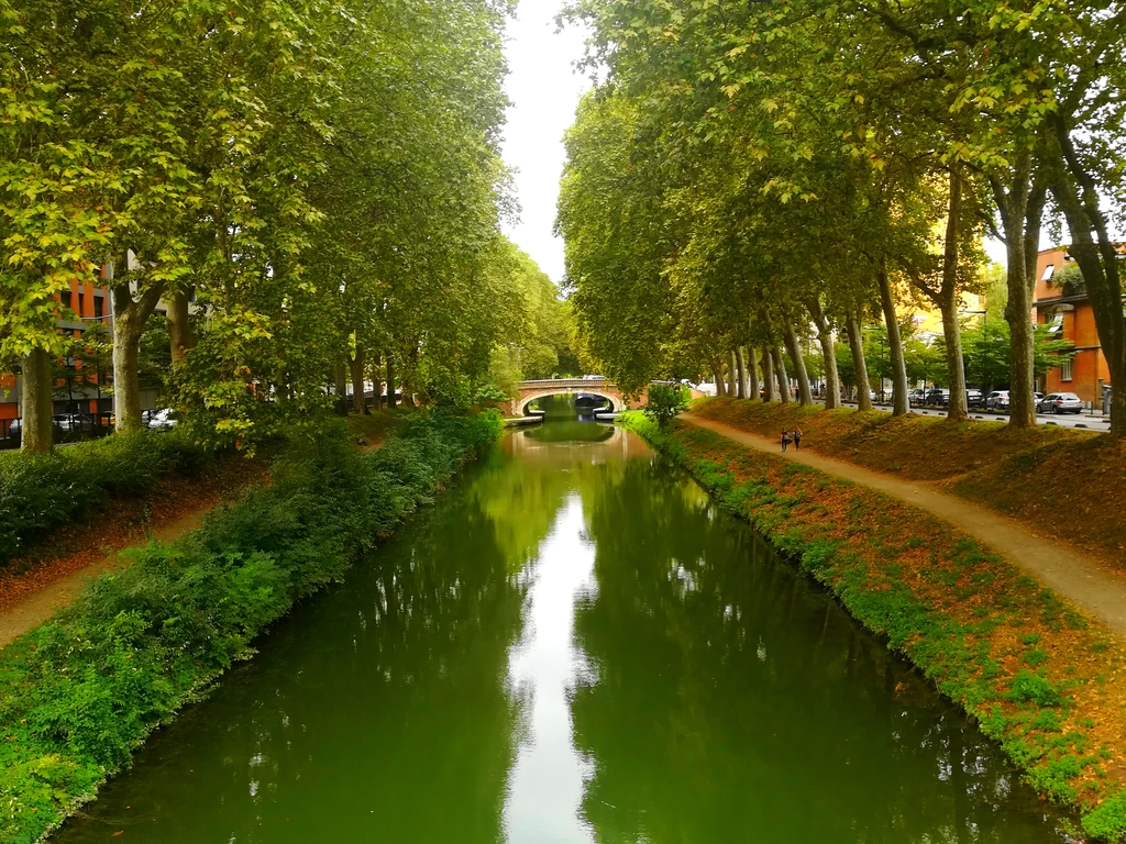 Canal de Brienne 5