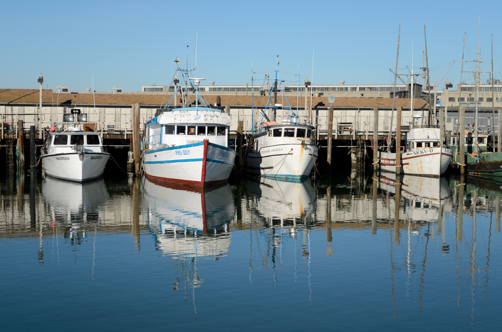 Fisherman's Wharf