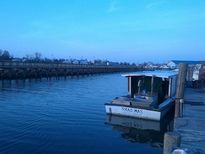 The trail along Fishing Creek (near Chesapeake Beach terminus)