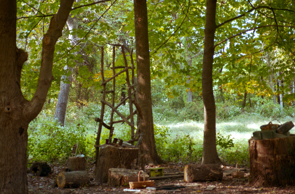The Gardens | Fall 2010