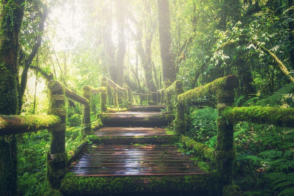 Nature trails