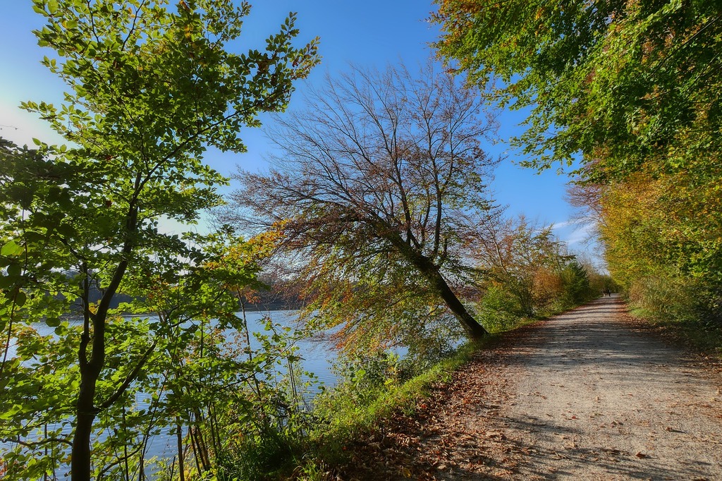 A riverside walk