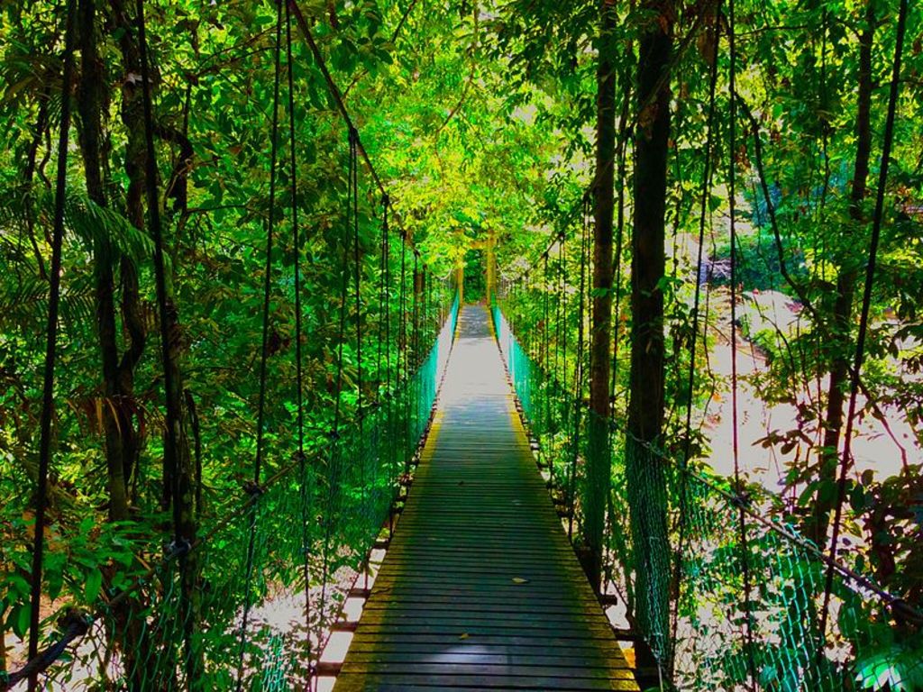 Scenic park