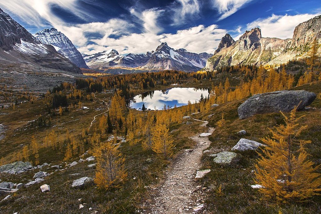 Yoho National Park Fall Colors