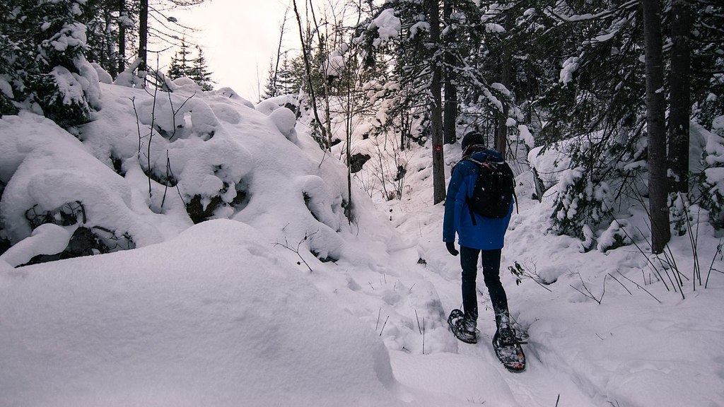 Snowshoeing