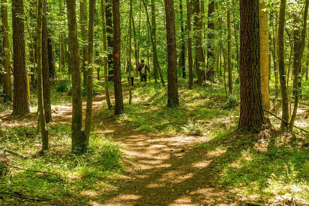Hiking Trail