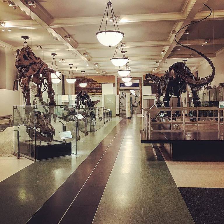 learn about dinosaurs at the american museum of natural history