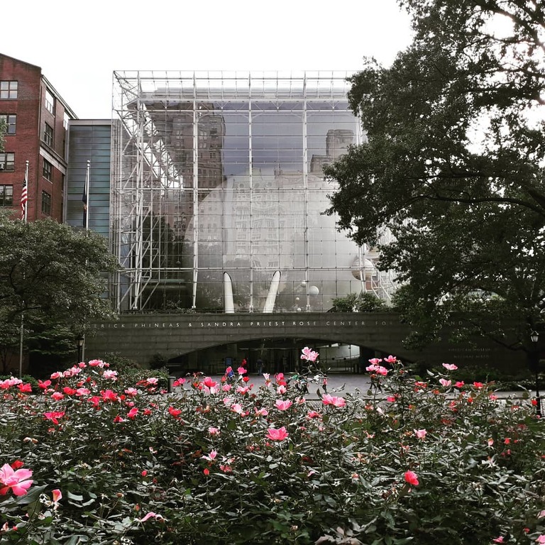 discover the wonders of the earth at rose center
