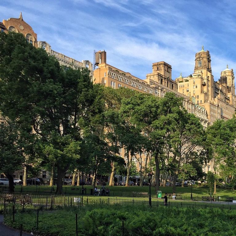 relax with your family at theodore roosevelt park