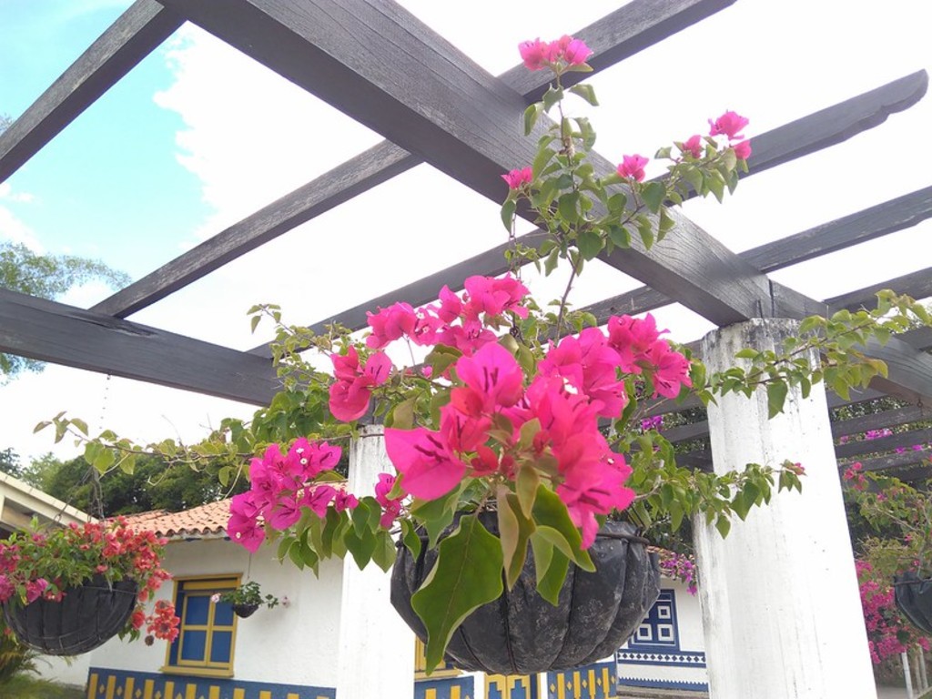 Pereira Parque Consota