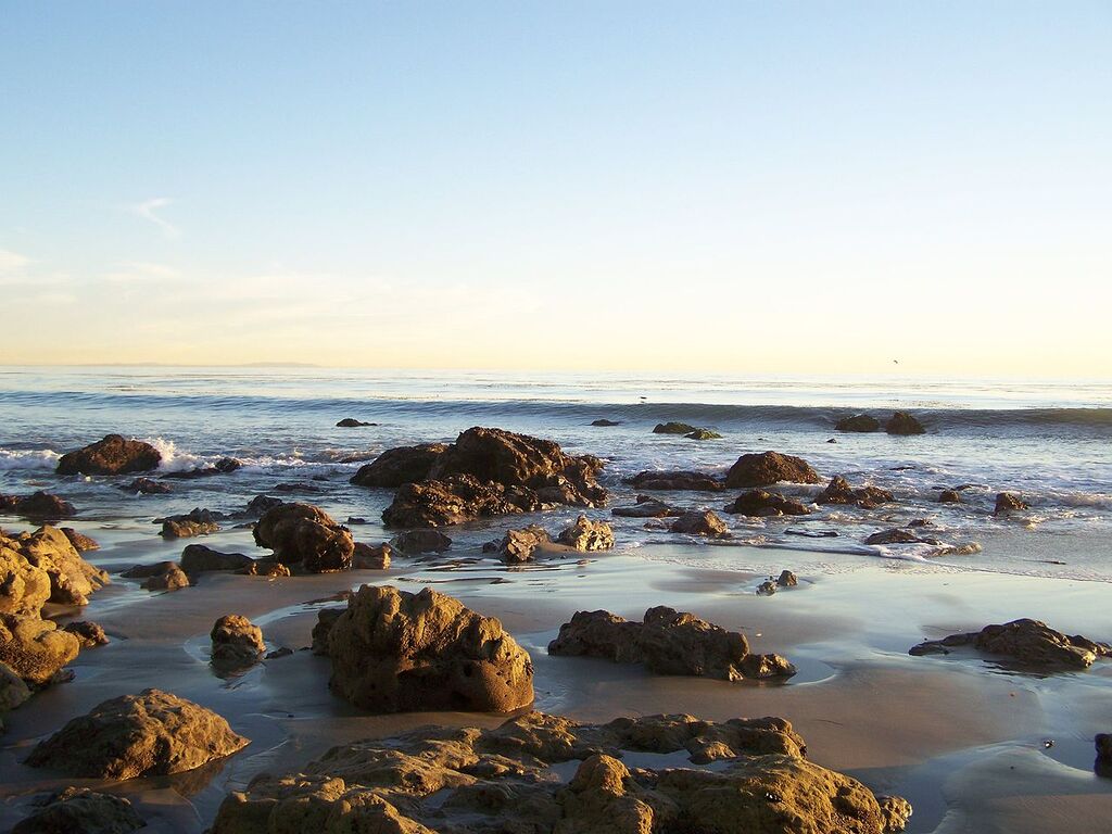 Malibu Landscape