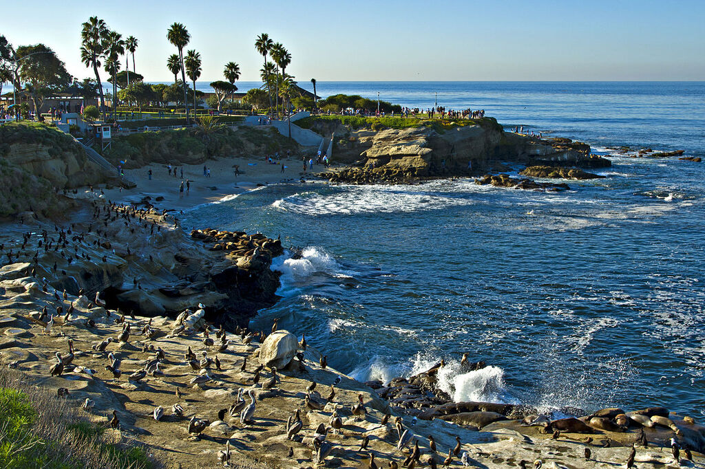 La Jolla Cove view