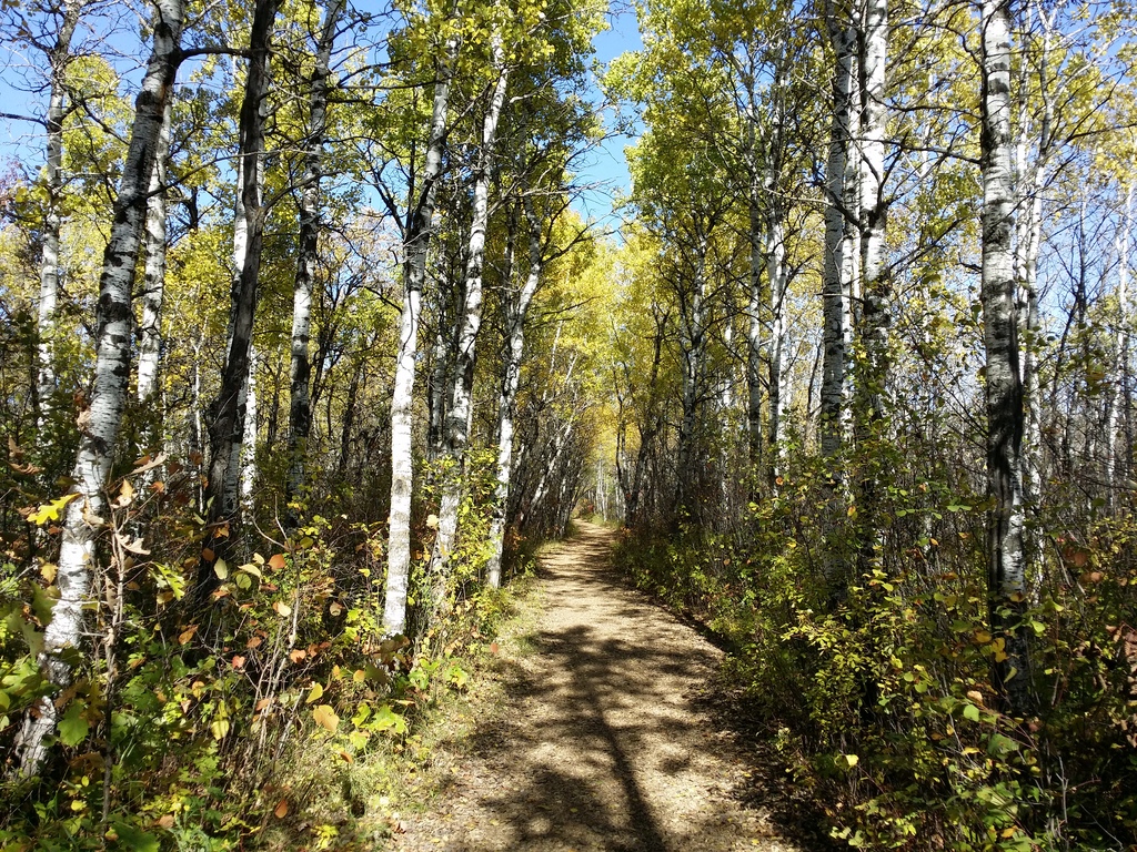Best Hiking Trails In Manitoba, Canada