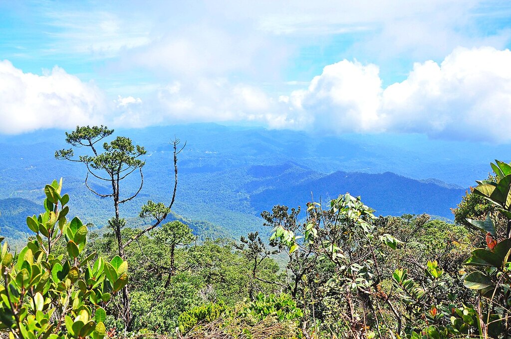 View of mountain ranges from the summit of Mount Murud