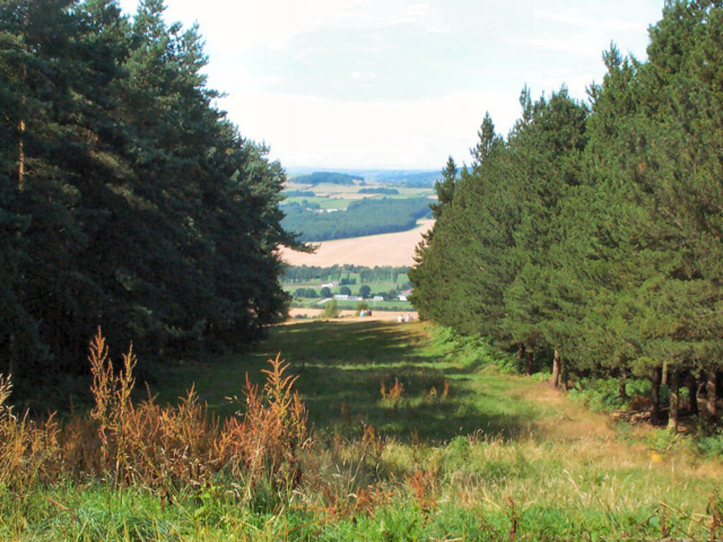 Chevin Forest Park