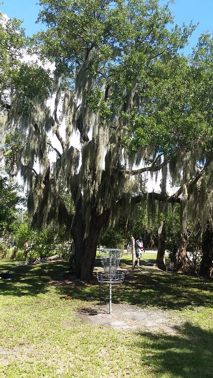 Disc Golf