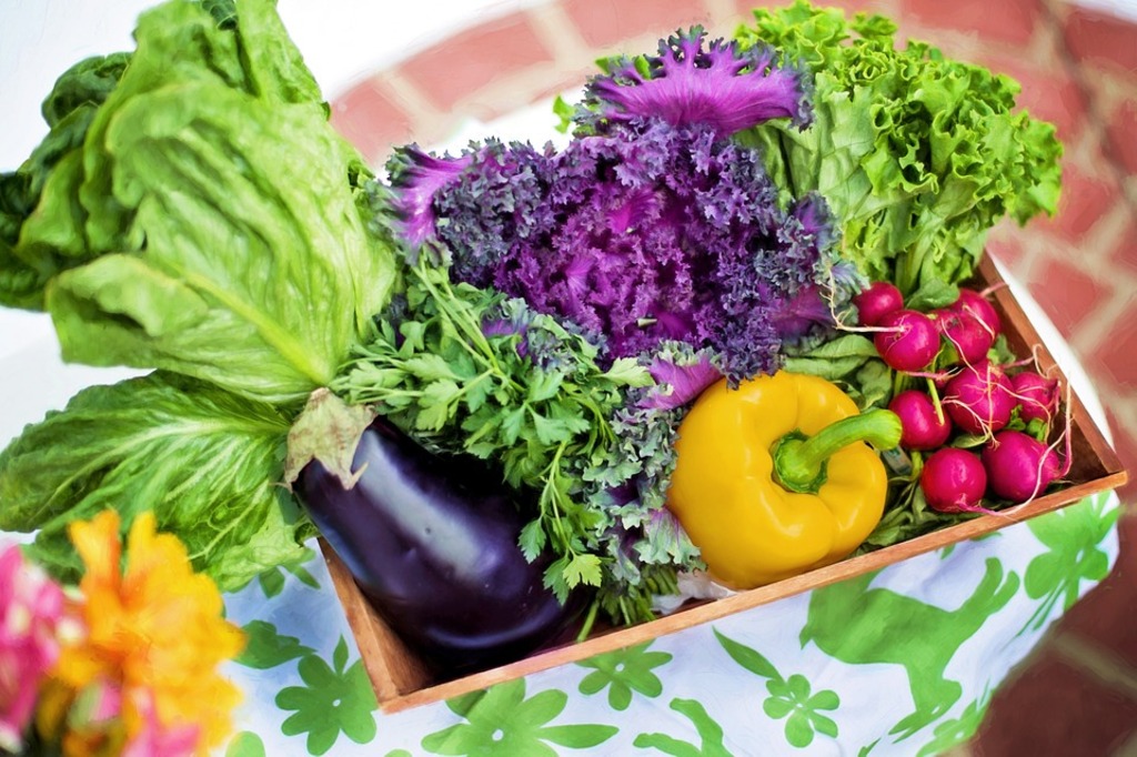 farm to table restaurants in indianapolis | indulge in food trips in indianapolis, indiana