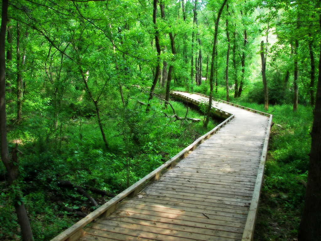 Boardwalk-conestee-park