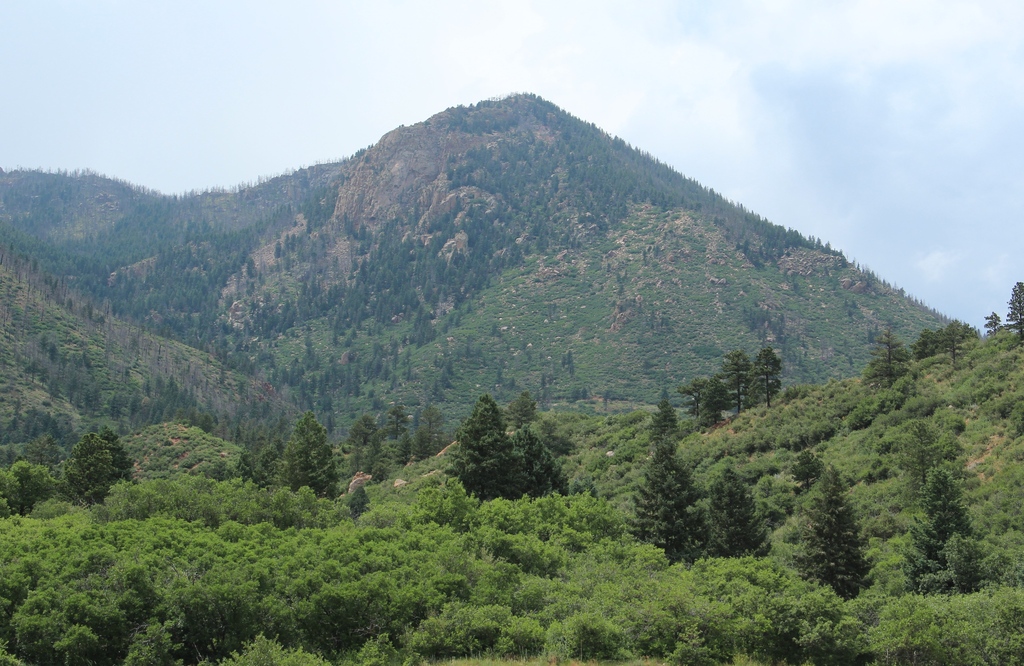 Blodgett Peak seen from the Blodgett Peak Open Space