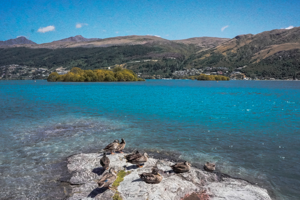 Lake Wakatipu, Queenstown New Zealand