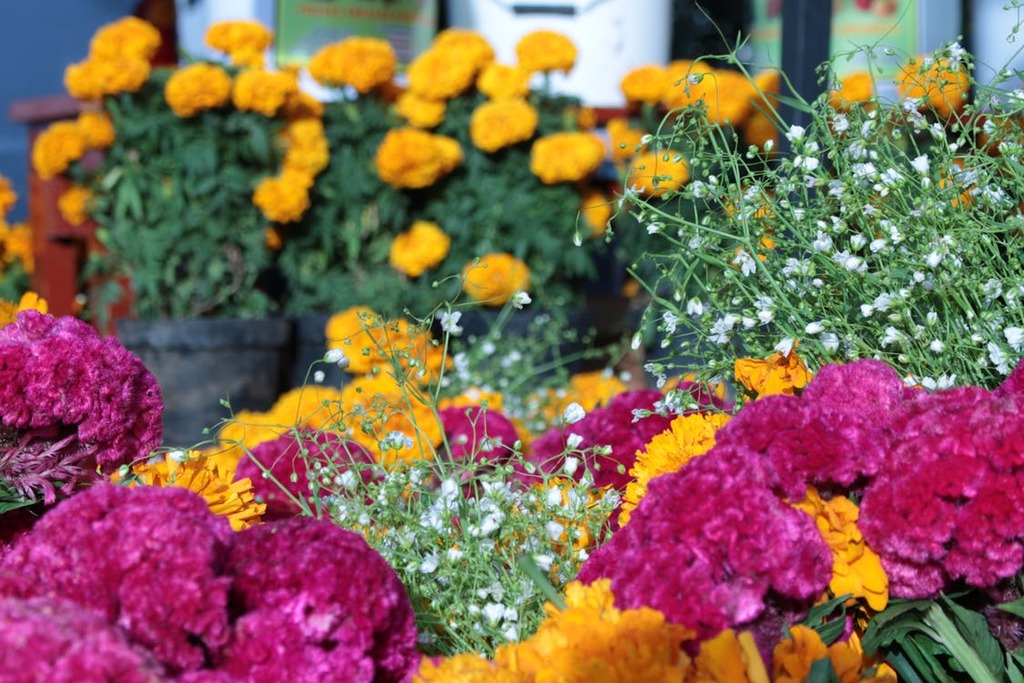Flower market