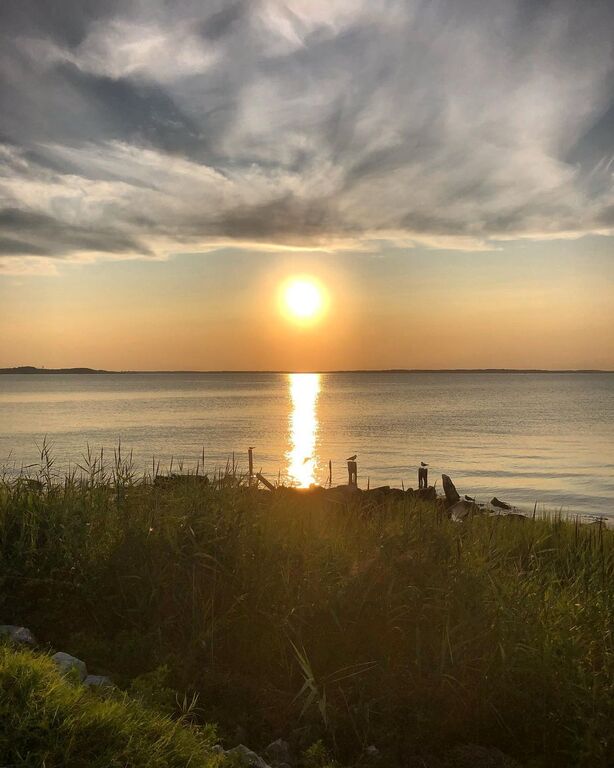 things to do in delaware | enjoy a fun-filled holiday at ocean view