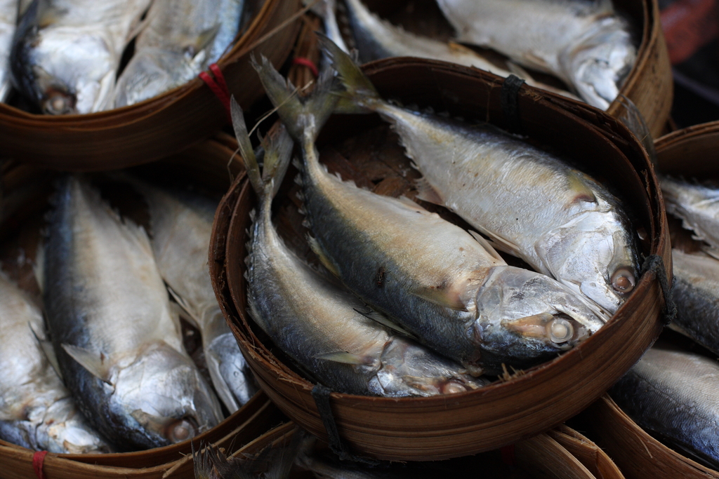 Chao Phrom Market
