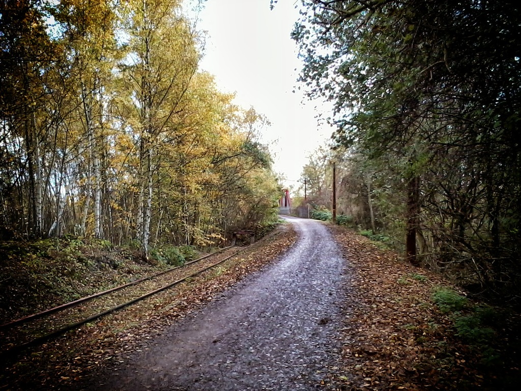 Hamme, Bochum, Germany - panoramio (3)